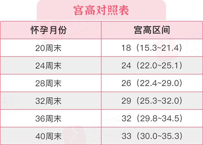 供卵试管代怀的成功率【供卵试管代怀成功率分析及影响因素】