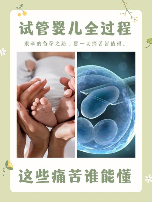 广州三代供卵试管宝宝【广州三代供卵试管宝宝：新生命的奇迹】