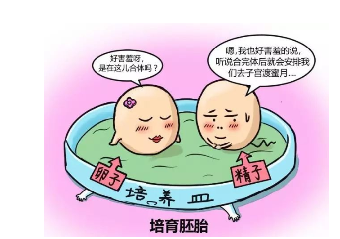 供卵试管婴儿违法吗(供卵试管婴儿:法律关于违法的规定)