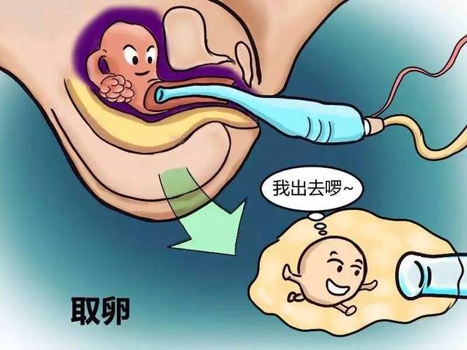 供卵试管代怀哪里找-供卵试管代怀哪里找：选择合适的中心很重要